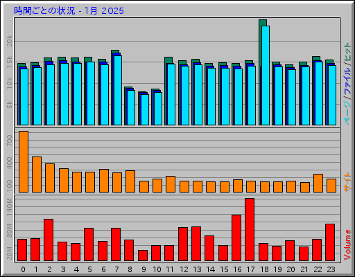 時間ごとの状況 - 1月 2025