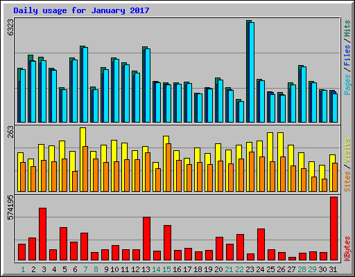 Daily usage for January 2017