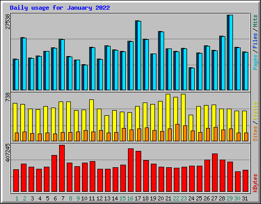 Daily usage for January 2022