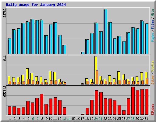 Daily usage for January 2024