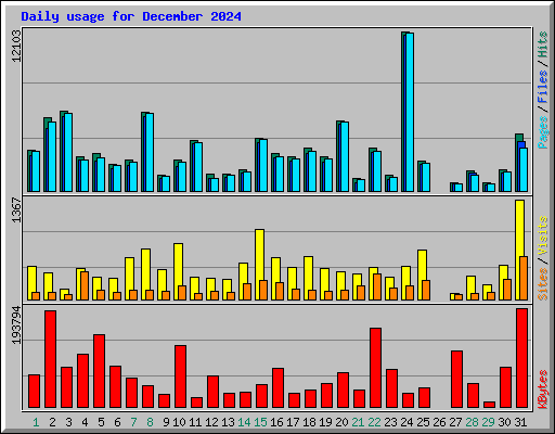 Daily usage for December 2024