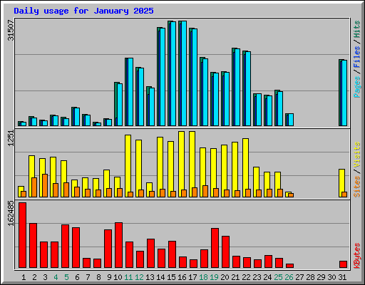 Daily usage for January 2025