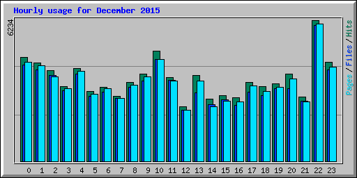 Hourly usage for December 2015