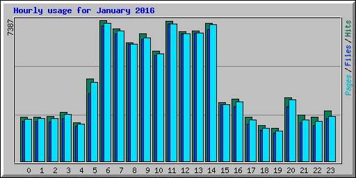 Hourly usage for January 2016