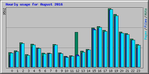 Hourly usage for August 2016