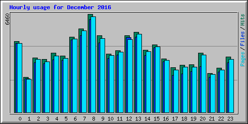 Hourly usage for December 2016