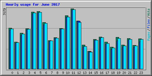 Hourly usage for June 2017