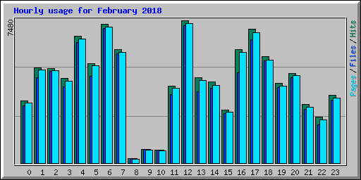 Hourly usage for February 2018