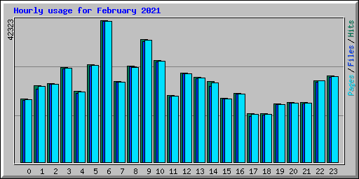 Hourly usage for February 2021