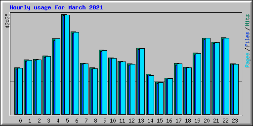 Hourly usage for March 2021