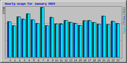 Hourly usage for January 2022