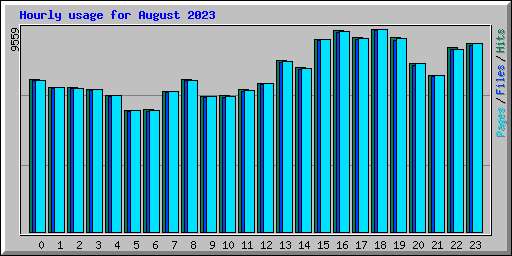 Hourly usage for August 2023