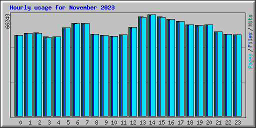 Hourly usage for November 2023