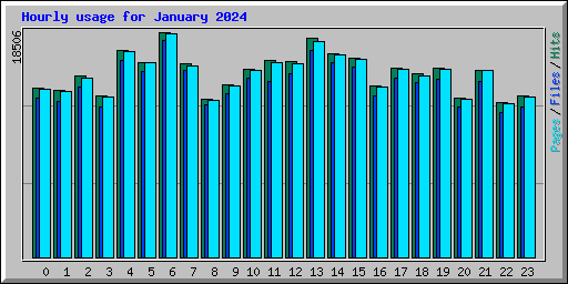 Hourly usage for January 2024