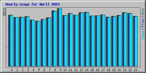 Hourly usage for April 2024