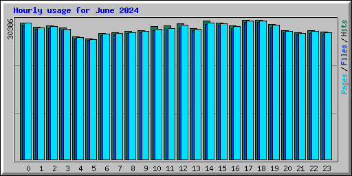 Hourly usage for June 2024