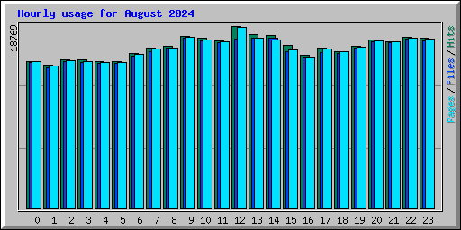 Hourly usage for August 2024