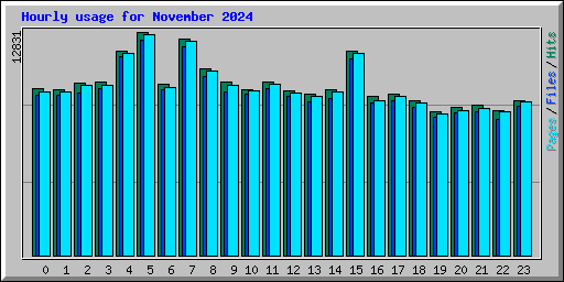 Hourly usage for November 2024