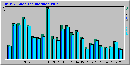 Hourly usage for December 2024