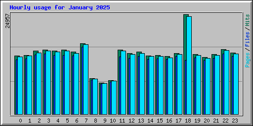 Hourly usage for January 2025