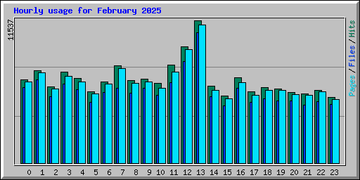 Hourly usage for February 2025