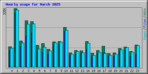 Hourly usage for March 2025