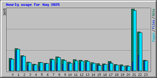 Hourly usage for May 2025