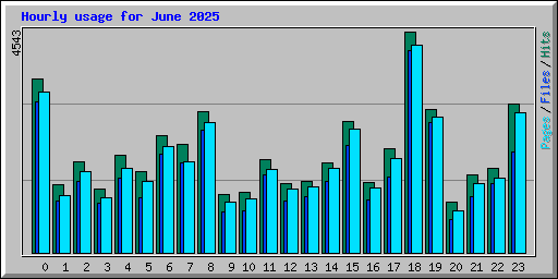Hourly usage for June 2025