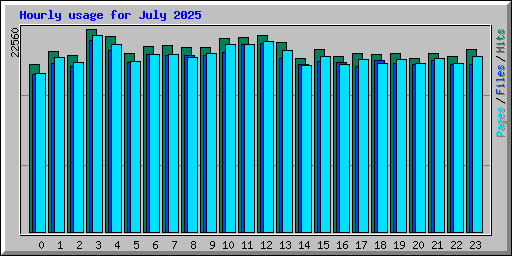 Hourly usage for July 2025