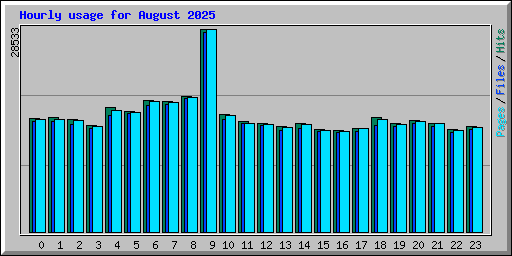 Hourly usage for August 2025