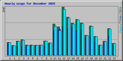 Hourly usage for December 2025