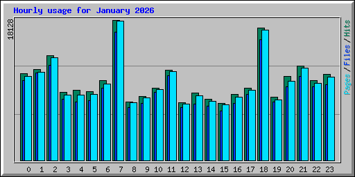 Hourly usage for January 2026